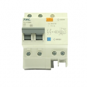 Attomat chống rò 2 pha 63A RCBO